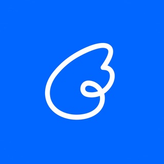 NetAngels