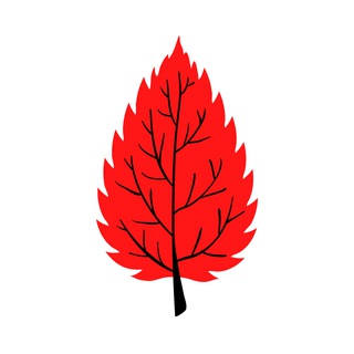 Крапива