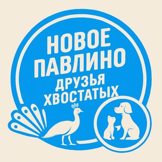Друзья Хвостатых | Новое Павлино