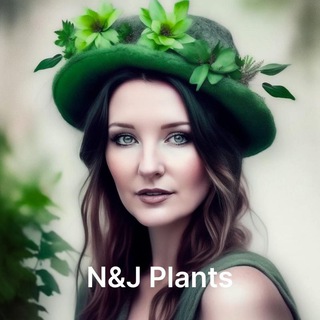 N&J Plants