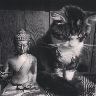 Namaste, bitches