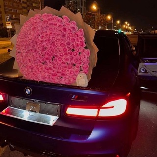 night drive