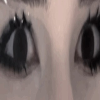 nonsharedis