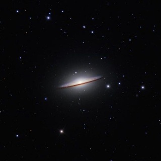 Нора astromaximus'a