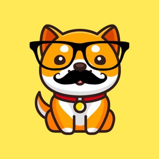 Not Baby Doge Coin