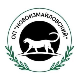 ОП "Новоизмайловский"