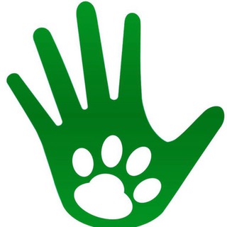 Новокосино_ Dogs