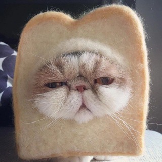 И смех и мех 🐾