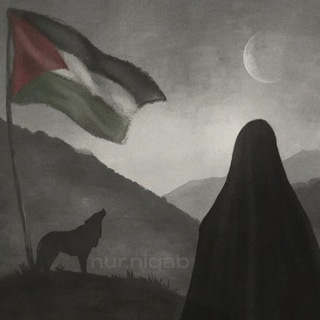 nur niqab