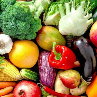 Nutriciolog_4U