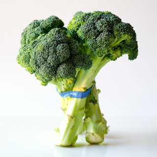 NutriПИТАНИЕ