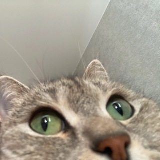 707