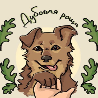 🐾Спасем приют в Дубовой Роще