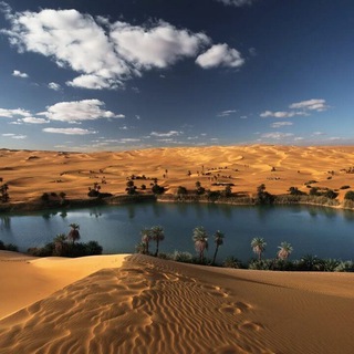 Oasis