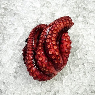 Octopus Unpacked