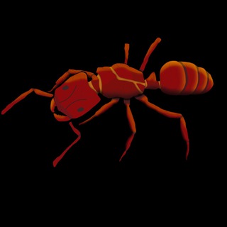 Odontant