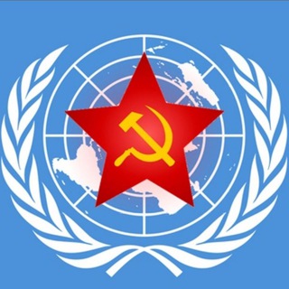 Военный эксперт ООН