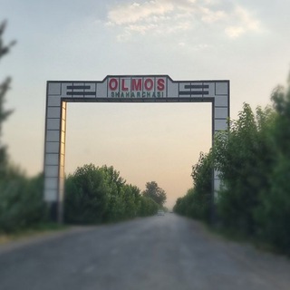 Olmosliklar.Uz (Rasmiy)