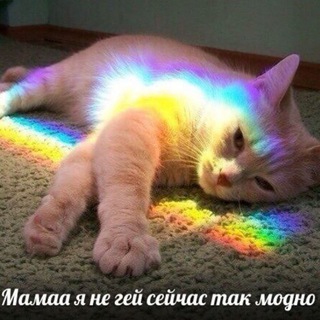 t.me/анархия