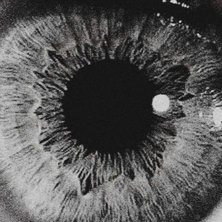 ONLY1VISION