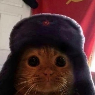 Опросяка