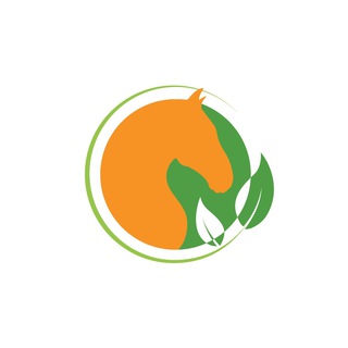 Orange Horse Grooming Official