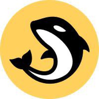 Orca Korea 🇰🇷