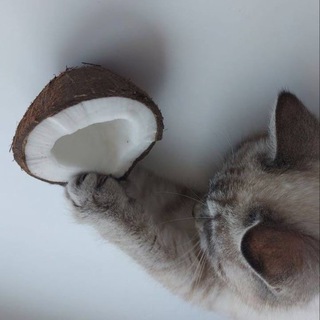 🥥Bounty🥥
