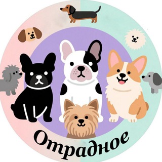 Отрадное_Dogs