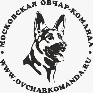 Московская овчар-команда
