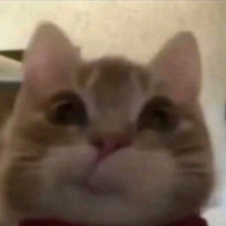 Овнер