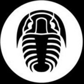 Paleonews.live — Лига палеонтологии