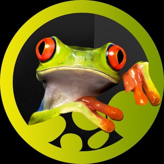 Panteric 🐸 Экзотические Животные