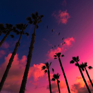 Paradise✨