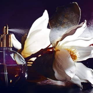Parfume Dreams💖