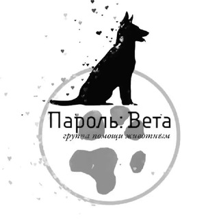 Пароль: Вета