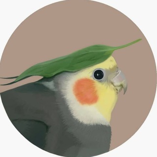 parrots 🐦🍉