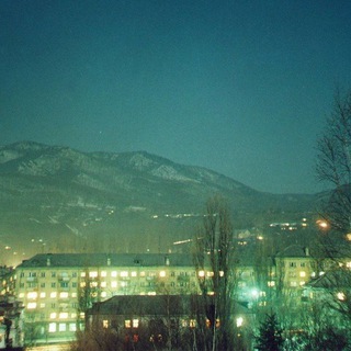 Партизанск
