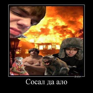 пчелаут