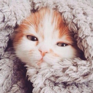 peaceful afternoon