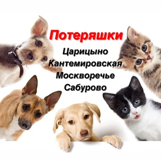 Потеряшки ЦАРИЦЫНО | КАНТЕМИРОВСКАЯ|МОСКВОРЕЧЬЕ|БИРЮЛЕВО МОСКВА