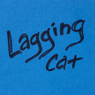 Lagging Cat's Home