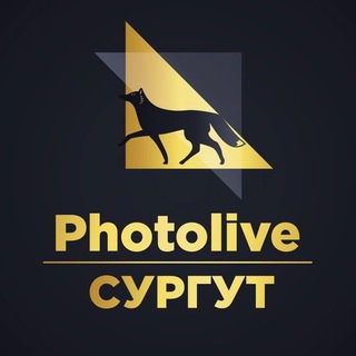 Photolive Сургут