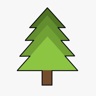 Pine Token official
