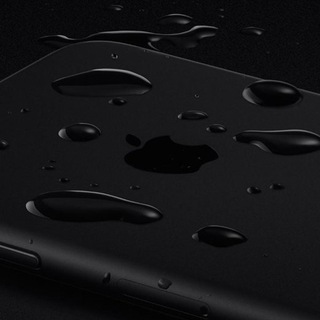 Pingou Iphone