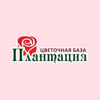Плантация | Цветы Магадан | Доставка цветов