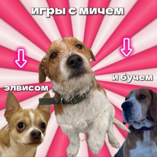 игры с мичем