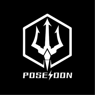 POSEIDON картриджи для тату