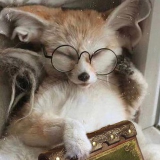 подТекст