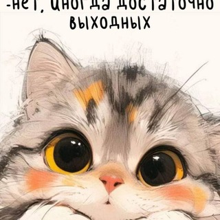 🫶💞❤️ Котенок ❤️💞🫶😘